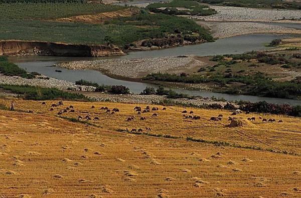 Κουρδικά μέσα: Η Τουρκία κόβει όλο και πιο πολύ τα νερά του Ευφράτη – Κίνδυνος ξηρασίας στη Β Συρία